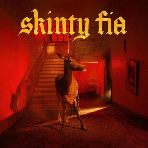 Fontaines D.C. Skinty Fia (LIMITED EDITION OPAQUE RED VINYL) - Image 2