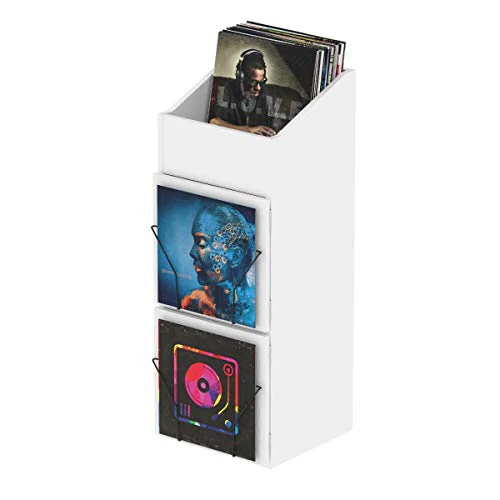 Glorious Record Box Display Door in White - Image 5
