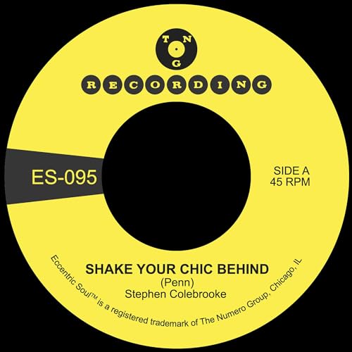 Shake Your Chic Behind B/W Stay Away From Music - Vinyl LP - RSD 2025