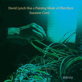 SSVU (Silversun Pickups) - David Lynch Has a Painting Made of Flies Eyes / Suzanne Ciani  - 7" Vinyl RSD-BF 2022