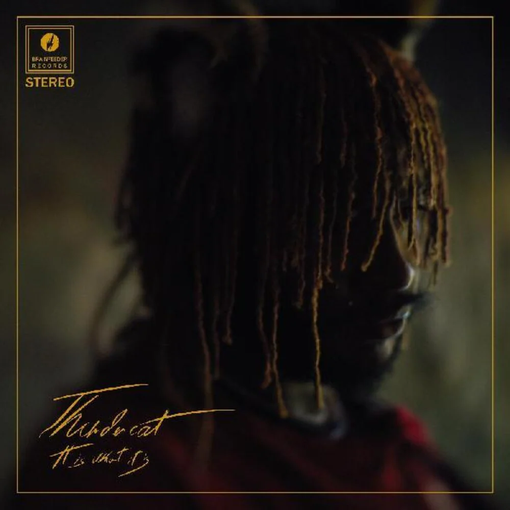 Thundercat - It Is What It Is (Colored Vinyl, Red, 140 Gram Vinyl, Photos) [LP]