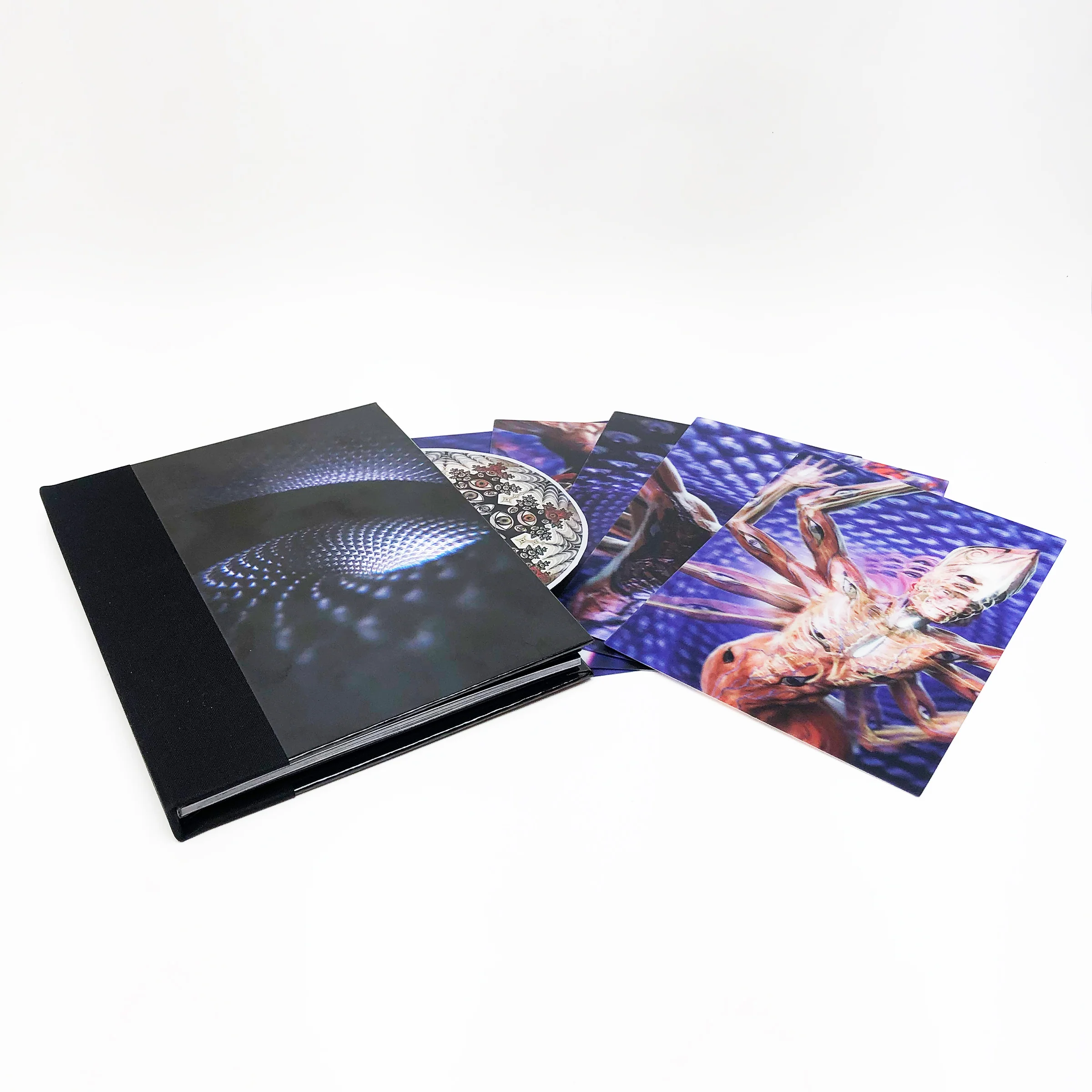 Tool Fear Inoculum (Expanded Book Edition) - Image 2