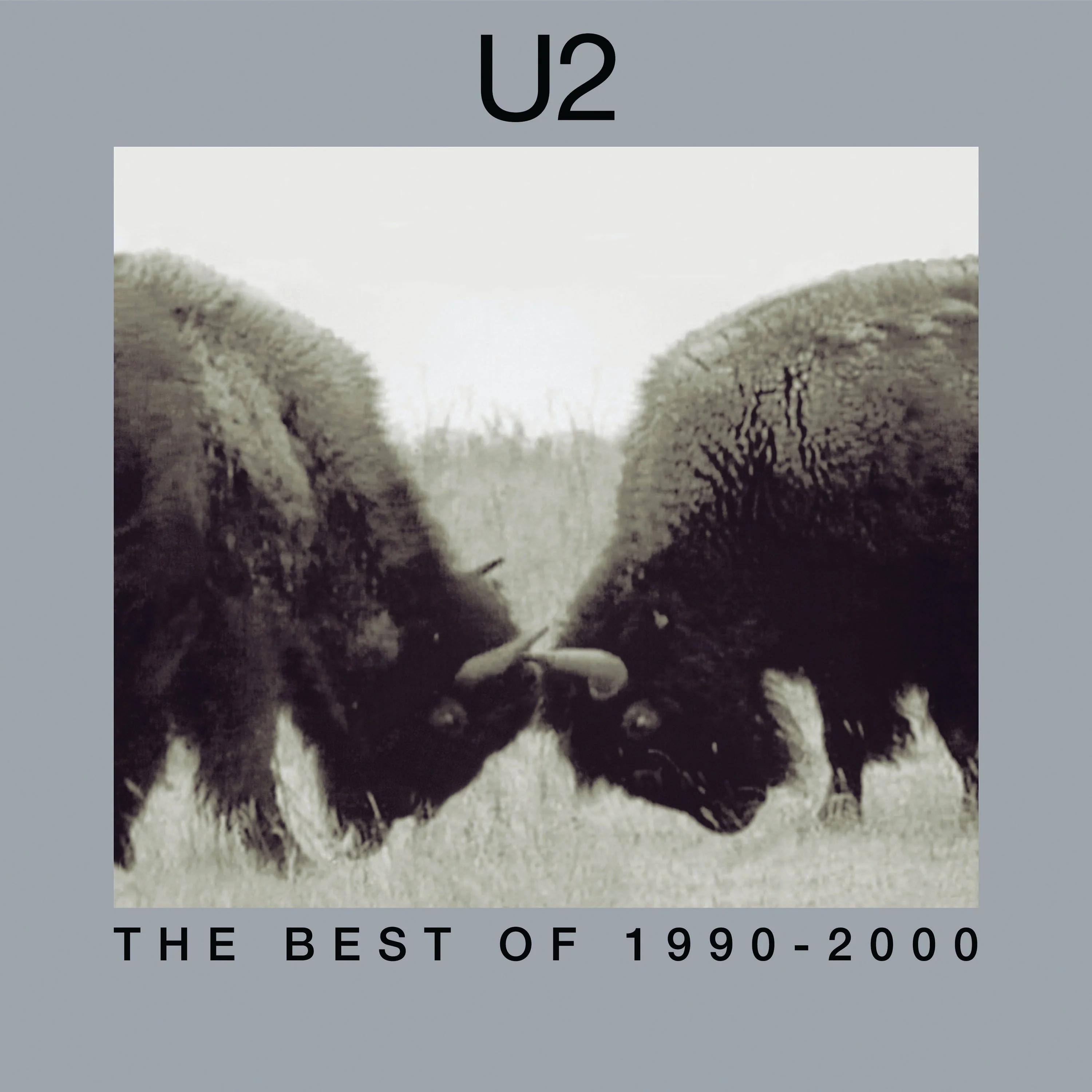 U2 - The Best Of 1990-2000 (180 Gram Vinyl) 2LP - Vinyl LP - RSD 2025